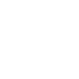 logo epic drive
